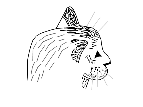 A drawing of my Cat