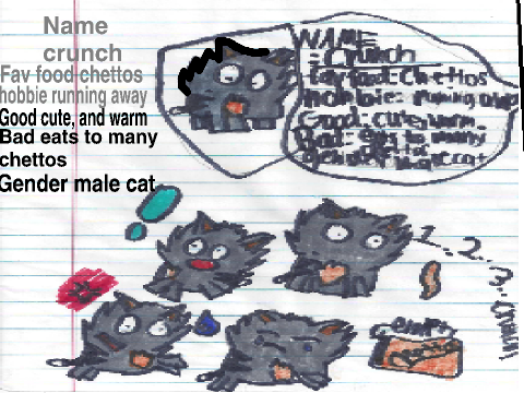 crunch the cat!
