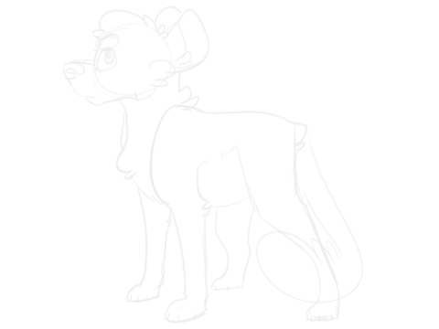 Drawing Process