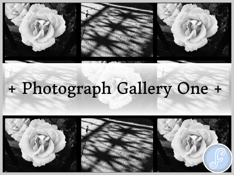 • Photo Gallery #1 •