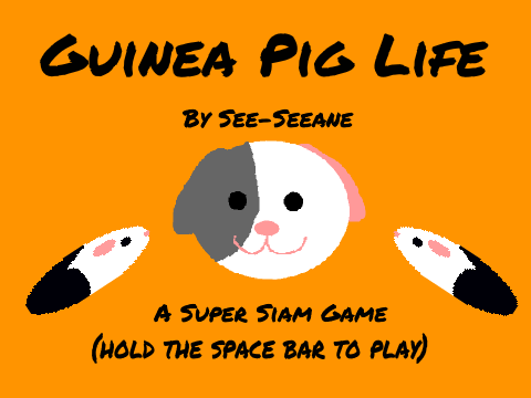 Guinea Pig Life