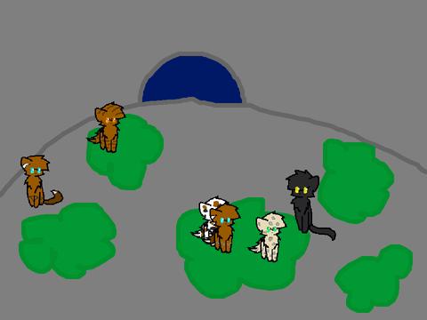 Warrior cats - The game EXPANDED