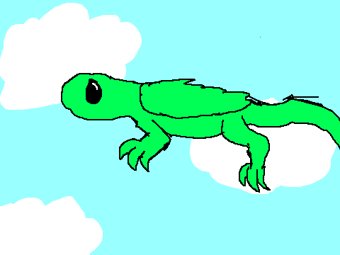 flight!!!