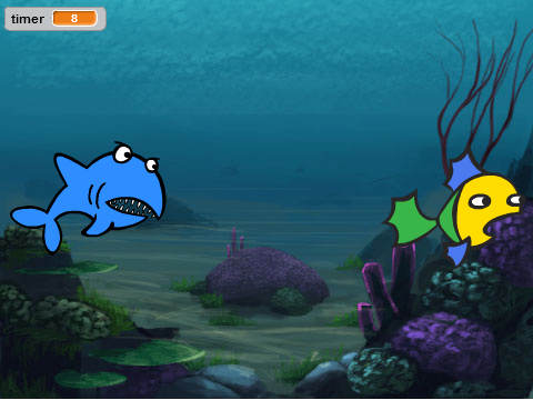 shark race