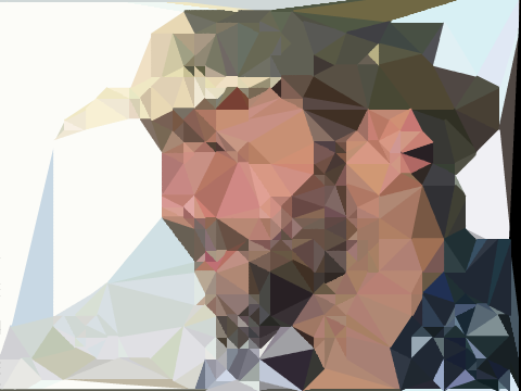 NPR - Delaunay Triangulation & Edge Detection v1.1