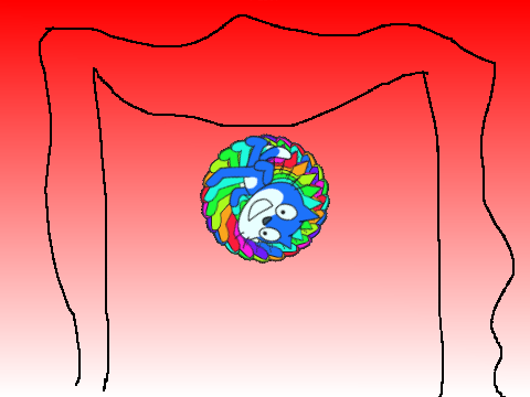 annoying rain bow sratch cat
