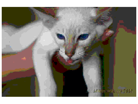 Scary Maze Game iron cat Edition!