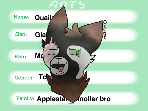 Quailboi 