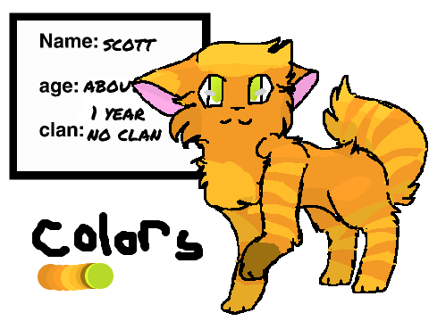 this is my cat scott