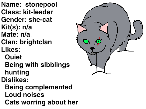 Adult Cat Signup Bio Stonepool