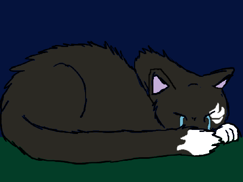 Shadow~All Alone