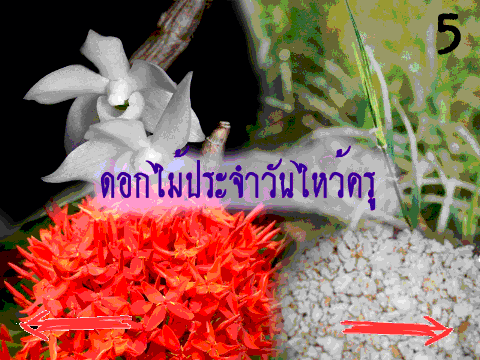 วันไหว้ครู