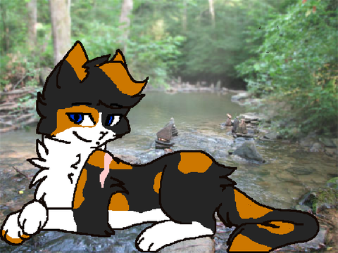 Warrior cats generator V2