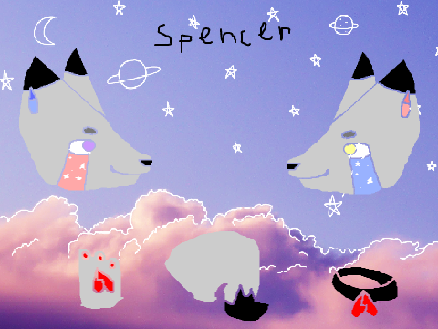 Reference sheet for Spencer