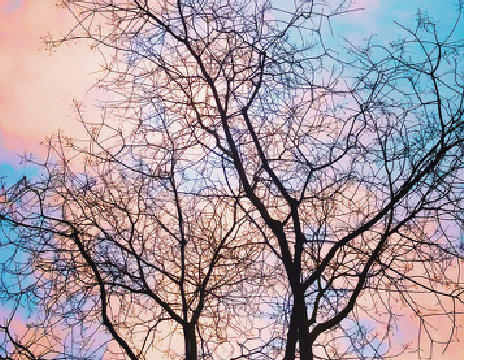 ▪