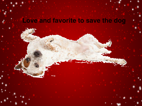 My dog is dead 1