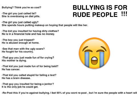 I H8 BULLIES!