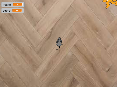 cat and mouse chase