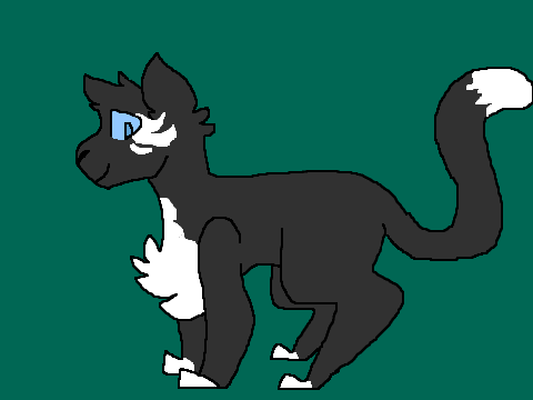 Shadow of Shadowclan