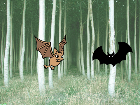 The BAT WARS!!!!!!!!