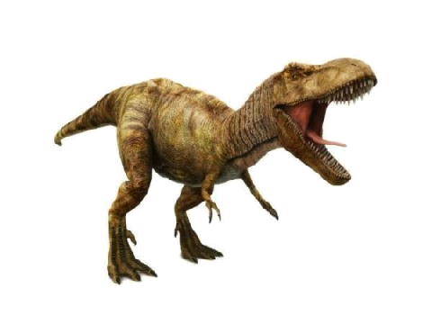 Dino Madness