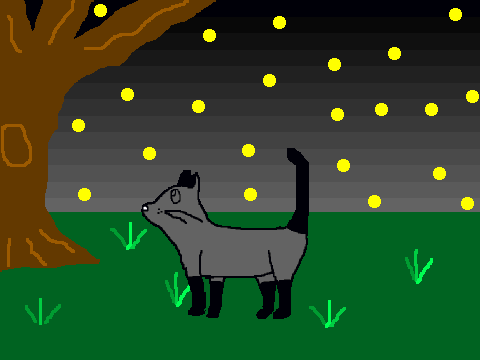 Cat colouring Contest #2 assunta02's entry