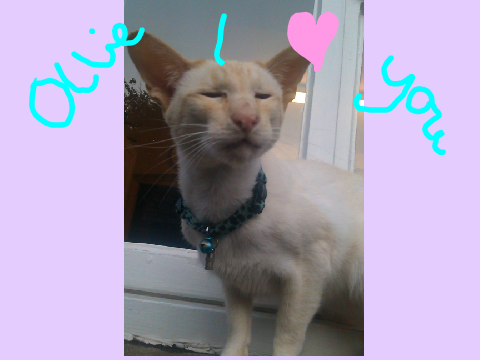 Ollie I <3 you