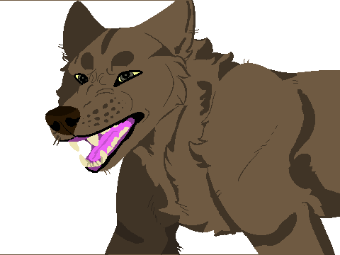 /Solo/ Coloring Contest Entery