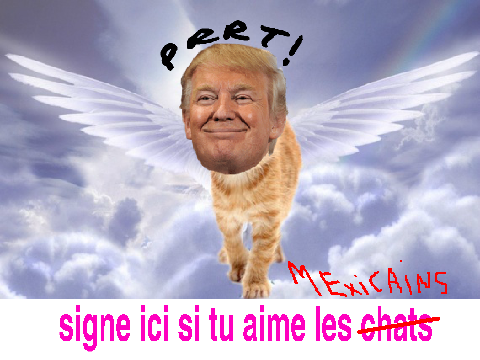 challenge!avoir le plus de remix  remix
