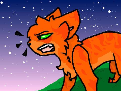 Natural: Warrior Cat CC contestant