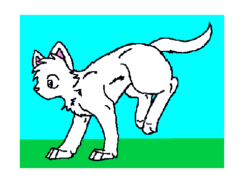 My warrior cat! (music!)