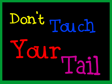 Don't Touch Your Tail