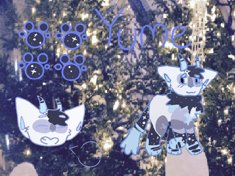 || Yume ||
