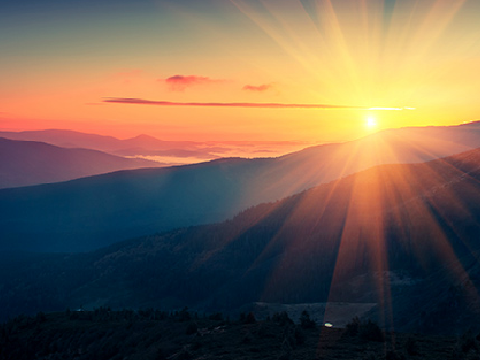 Dawn (Chapter Seven)