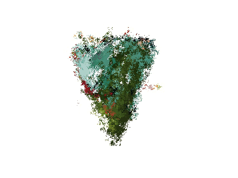Whirl wind