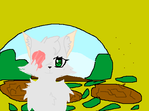 Midnight Echo || Warrior cats game (work in progress)