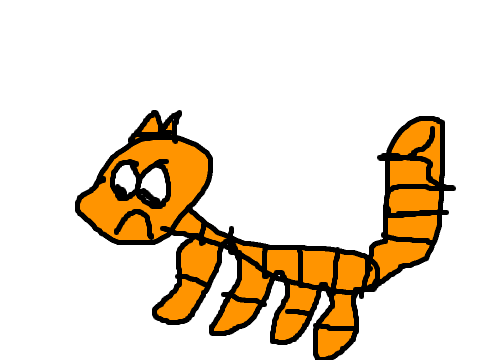 Tigerstar COLLAB With Warriors2008855 3