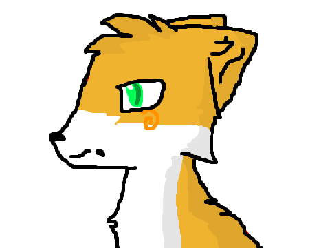 Fox Blink