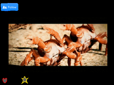 Crab Rave