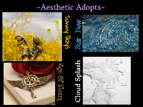 ⭐Aesthetic Adopts⭐