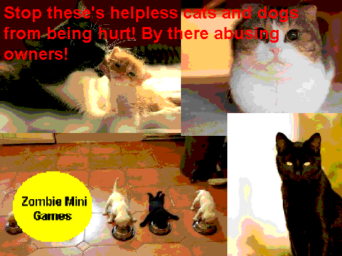 Stop animal cruelty! Re-post if you care