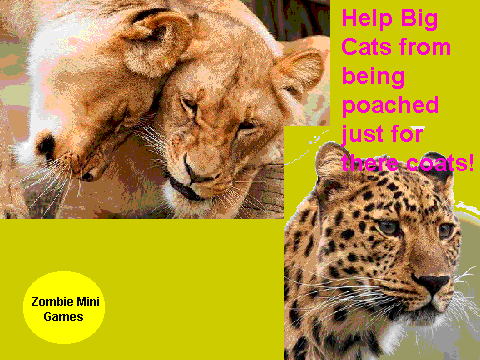 Stop poachers from killing Big cats for there coats! Re-post if you care.