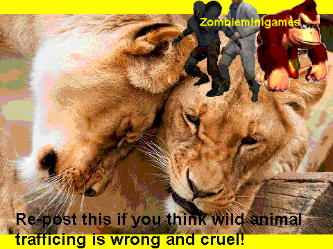 Stop animal trafficing! Re-post if you care
