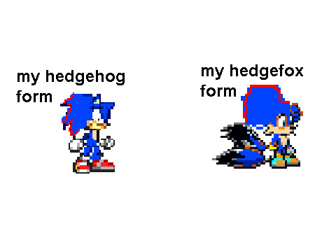 my new form (like savannah the hedgefox)
