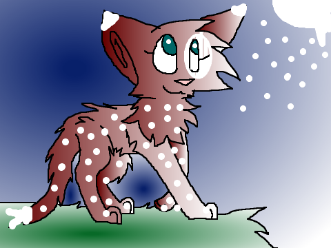My Warrior Cat! ;D