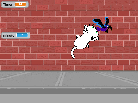 Don't Let the Cat get the bird 