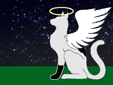 To Whisperstar and @cwkcassie793 remix