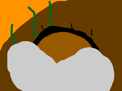 Part 10 Jayfeather Map