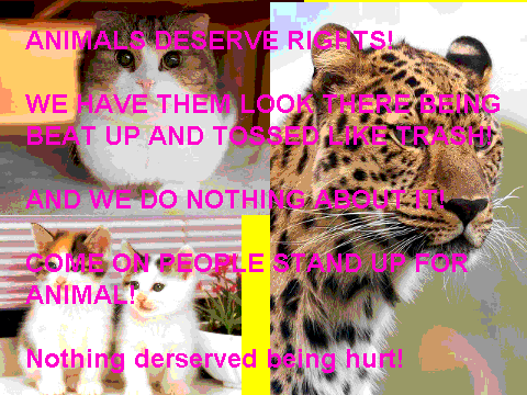 Stand up for animal rights! Re-post if you care