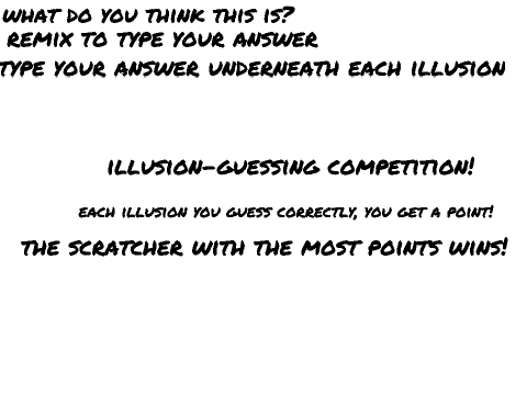 illusion-guessing competition